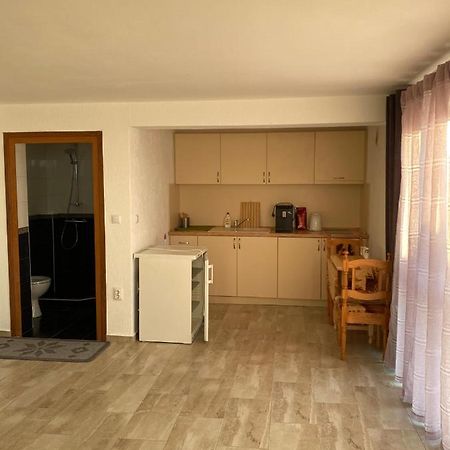 Studio Javor Apartman Rogacsevo Kültér fotó
